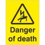 Danger Of Death Electrical Hazard Sign