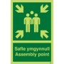Glow in the dark assembly point sign in Welsh and English