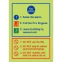 Glow in the dark 3 point fire action notice sign with raise the alarm instructions