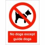 Red and white No Dogs Except Guide Dogs Sign with dog prohibition symbol