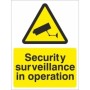 Security Surveillance In Operation Sign with CCTV Camera Symbol