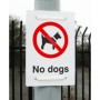 No Dogs Sign with red prohibition symbol for restricted areas