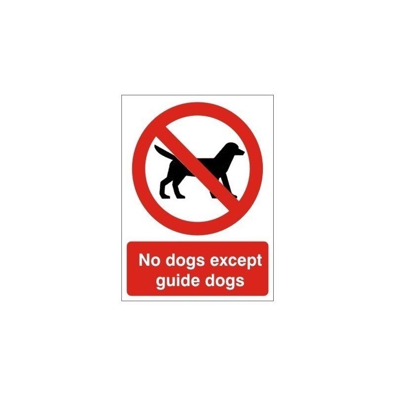 No Dogs Except Guide Dogs Sign