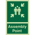 Photoluminescent Assembly Point Sign