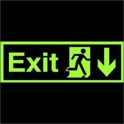 Photoluminescent Exit Arrow Down Sign - Class C