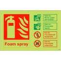 copy of Glow In The Dark Foam Spray Fire Extinguisher Identification Sign 150mm x 100mm