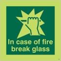 Photoluminescent In Case Of Fire Break Glass Sign