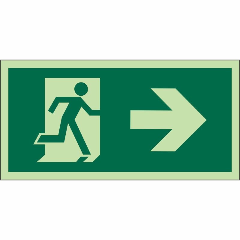 copy of Photoluminescent Fire Exit Arrow Down Left Sign